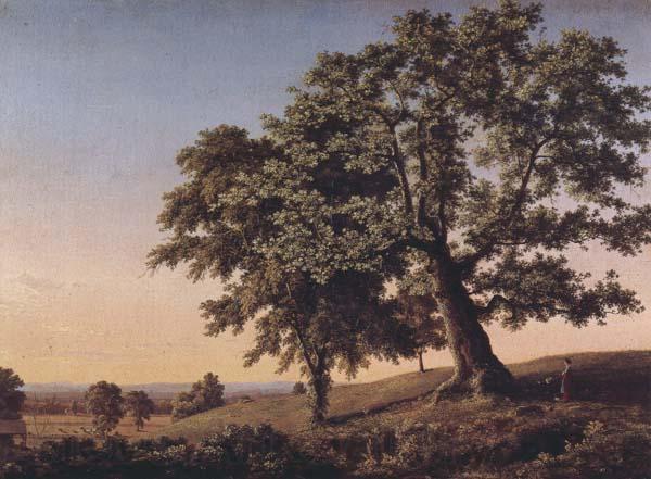 Frederic Edwin Church The Charter Oak France oil painting art